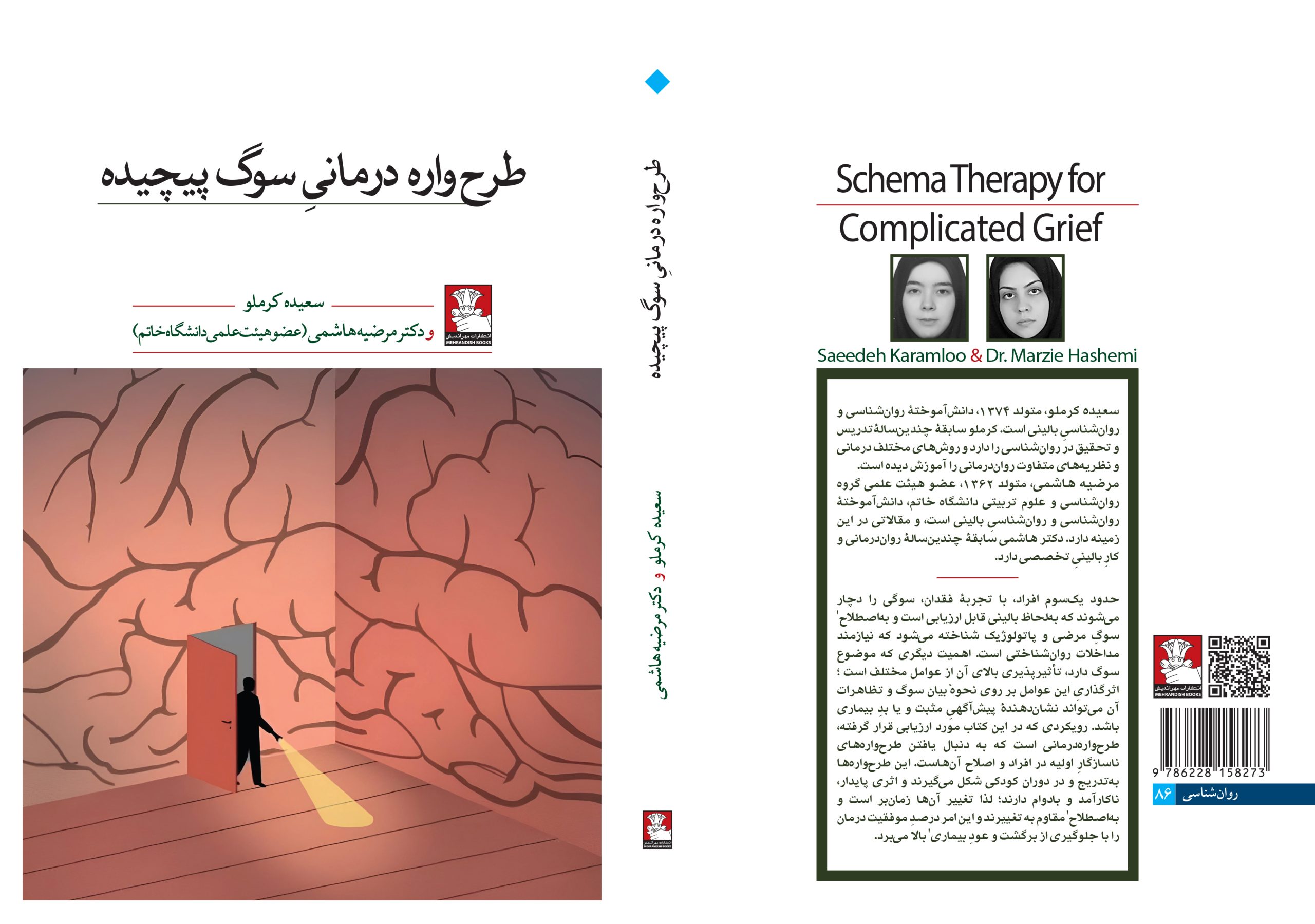 طرحواره درمانی سوگ پیچیده - Image 2